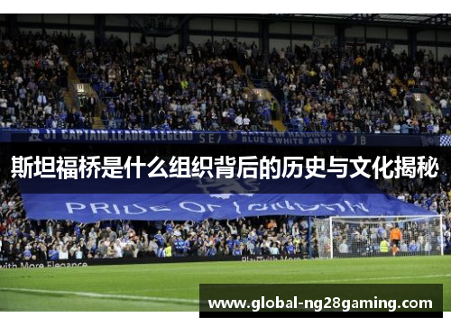 斯坦福桥是什么组织背后的历史与文化揭秘