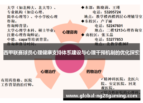 西甲联赛球员心理健康支持体系建设与心理干预机制的优化探索